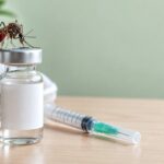 Vacina Contra Malária Vivax: Brasil Vai Testar a Vivaxin em Humanos